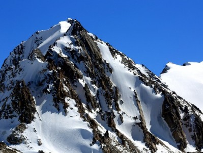 陇南京东白条提现需谨慎！官方提醒：警惕诈骗与征信风险