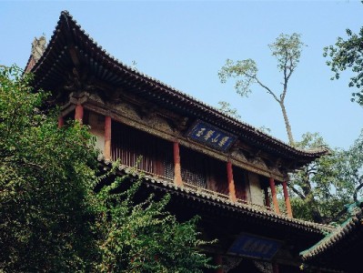 白条出库套现风险暗藏，安出掌柜合规指引避陷阱