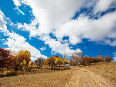 微信还花呗超省心！安出掌柜助力年轻人信用管理更聪明
