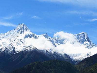 羊小咩出货后取消订单需扣费？用户实测应对技巧与第三方协助经验