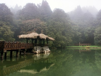 花呗充值套现风险高？出财小神支招合规资金周转新路径