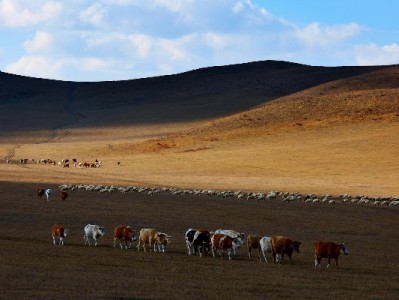 镇江花呗提现需谨慎！安出掌柜揭秘合规操作避坑指南