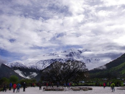 京东白条取现全攻略：步骤、费用及安出掌柜实用提醒