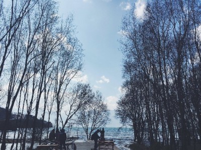 蚂蚁花呗24000额度怎么用？出财小神教你理性消费不踩坑