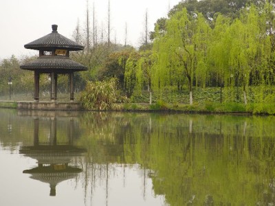 商家必看！花呗收钱码申请攻略 安出掌柜助力高效开通