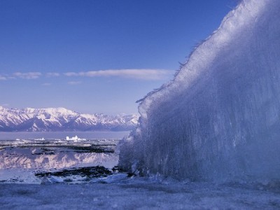 淘宝商家遭遇花呗限制困扰？出财小神助力7天恢复支付权限