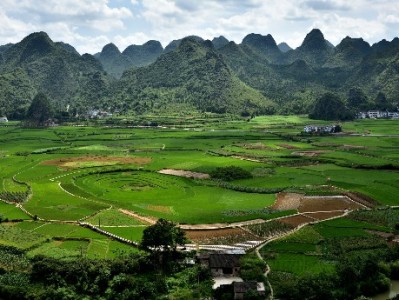 花呗提现金安全吗？出财小神教你避开陷阱找对方法