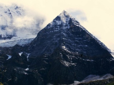 抖音月付成商家转化利器，结合富信掌柜运营更高效