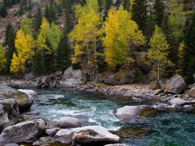 富信掌柜助力小微商家开通花呗收款 小生意也能接住大流量