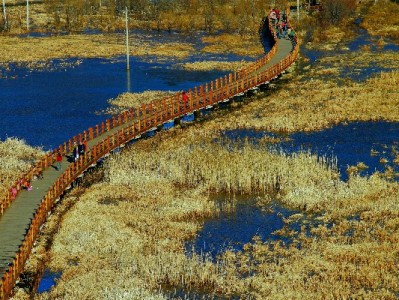 白条消费后急需用钱？出财小神合规周转解您燃眉之急