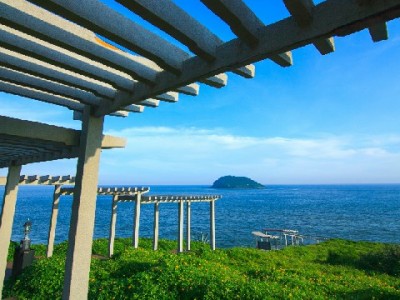 羊小咩苹果套装热销！搭配"出财小神"分期更省，全套入手无压力