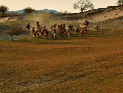 衢州白条商机来袭！安出掌柜招募本地商家共拓信用消费新市场