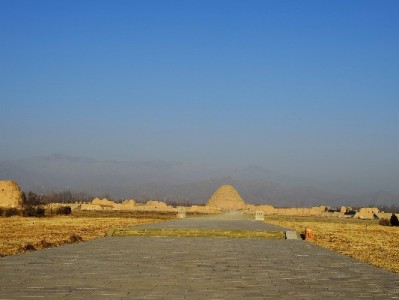 抖音月付商家版降低支付门槛，安出掌柜用后订单转化率涨27%