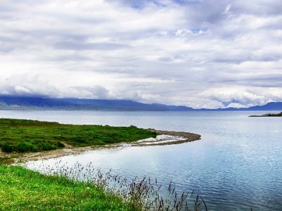 出财小神搭桥梁 花呗专项额度助商家激活高单价消费