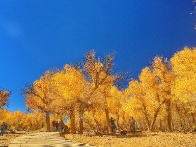 羊小咩套现风险高！正规平台“出财小神”成资金周转更优解
