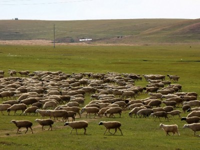 抖音月付信用卡提现全攻略：步骤、费用及风控注意事项详解