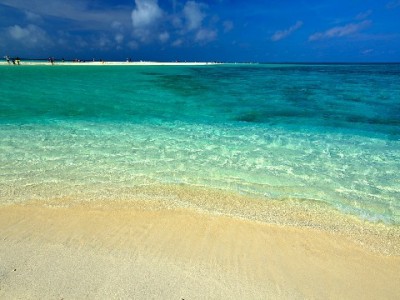 出财小神破解商家难题：银行卡收款也能支持花呗支付