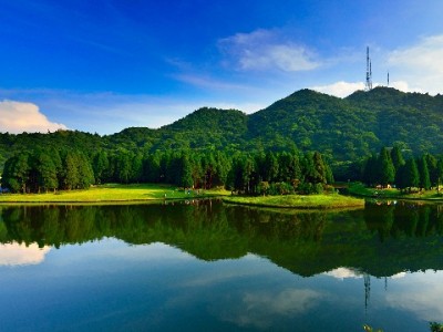 花呗被盗刷怎么办？安出掌柜教你三步筑牢支付安全防线