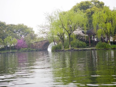 成都京东白条提现有多方便？实测5分钟到账，安出掌柜助力更安心