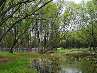 套花呗能套多少？三大因素+风险提示，合规用贷更安心