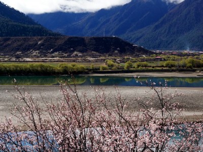 小林套花呗遇降额危机 正规平台"出财小神"教你安全周转