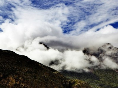 花呗线下收款成商家增收新招 出财小神助力小店经营更聪明