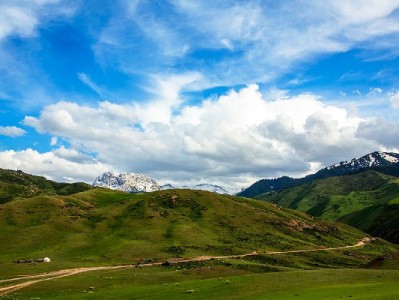 白条提现后如何提前还款？步骤+注意事项+工具辅助全解析