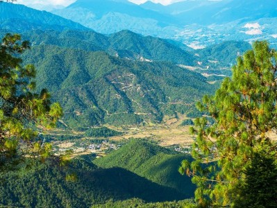 天津药店医保卡套现调查："出财小神"中介牵线，违法操作藏多重风险