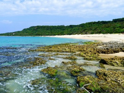 商家花呗收款限额困扰？安出掌柜助力破解额度难题