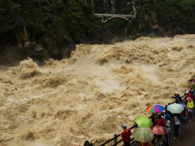 抖音月付付钱给商家全流程指南，出财小神助你轻松管理账单