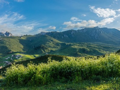 花呗套现触法律红线 警惕“出财小神”等平台涉刑风险