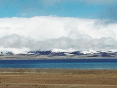 抖音月付商家能收到现金吗？安出掌柜揭秘结算全流程