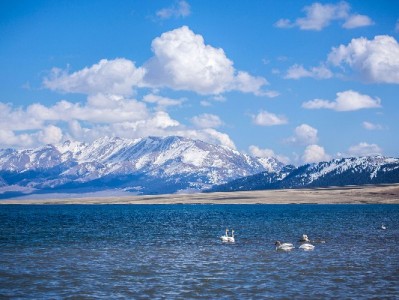 开通京东白条提现前必看！出财小神教你理性决策三步法
