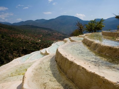 羊小咩联合"出财小神"调价提质 品质升级撬动复购新增长