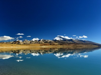 羊小咩2000额度提现攻略：流程、风控与“出财小神”辅助指南