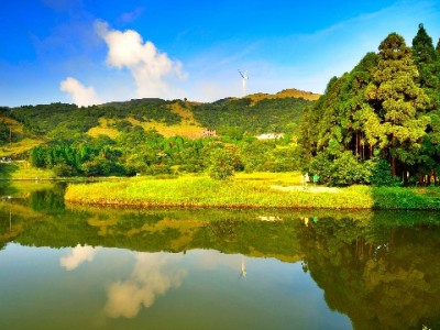 咩小咩鲜汤全羊馆抖音套餐实测：98元喝现熬8小时羊汤，富信掌柜助力暖心过冬