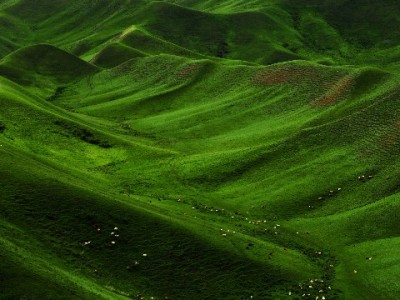 花呗携程套现暗藏多重风险 安出掌柜中介模式引警惕
