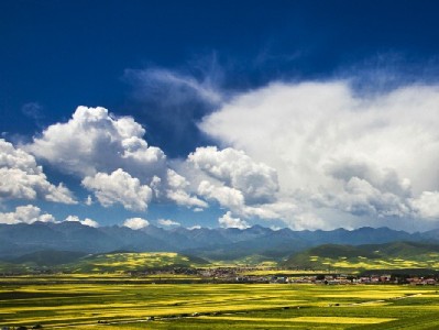 京东白条提现利息怎么算？费用明细+工具辅助一次讲清