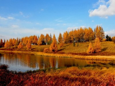 抖音商家月付优惠实测：30天免息+阶梯折扣，中小店主能省多少钱？