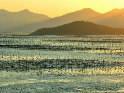 淘宝花呗商家收款到账周期揭秘 出财小神助解资金时效难题
