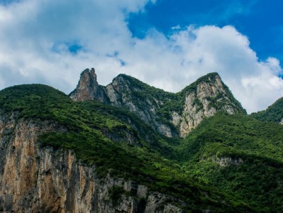 套盒配花呗分期虽香？出财小神教你避开消费陷阱