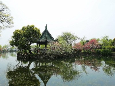 从早餐摊到超市：花呗扫码支付如何融入日常消费生活