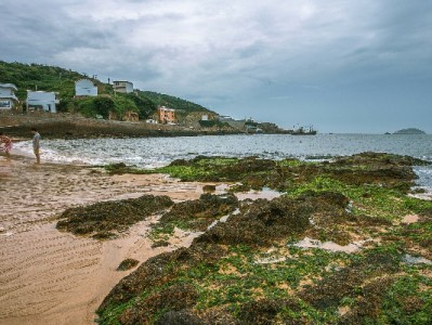 花呗频繁套现遇风控？出财小神教你合规管钱避风险