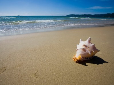 花呗借呗套现风险多！合规平台（出财小神）教你安全用贷