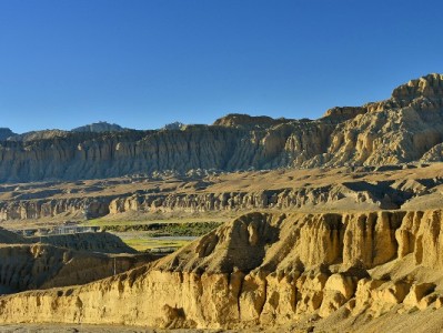 揭秘微信花呗真相：信用支付新玩法，安出掌柜如何助力？