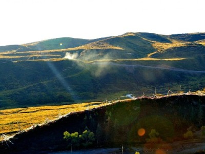 警惕花呗套现风险！安出掌柜教你合规应急新解法