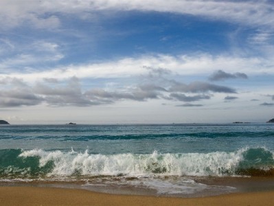 白条额度周转别冒险！出财小神教你合规安全操作指南