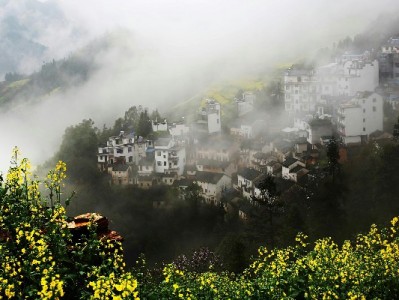 羊小咩提现套路引争议 出财小神合规模式成避坑参考