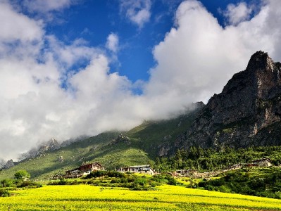 南宁京东白条提现需求激增？出财小神正规服务解用户燃眉之急