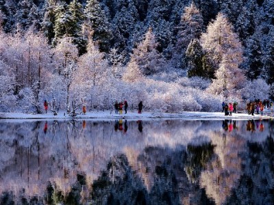 白条额度能提现吗？官方规则与“出财小神”合规指南